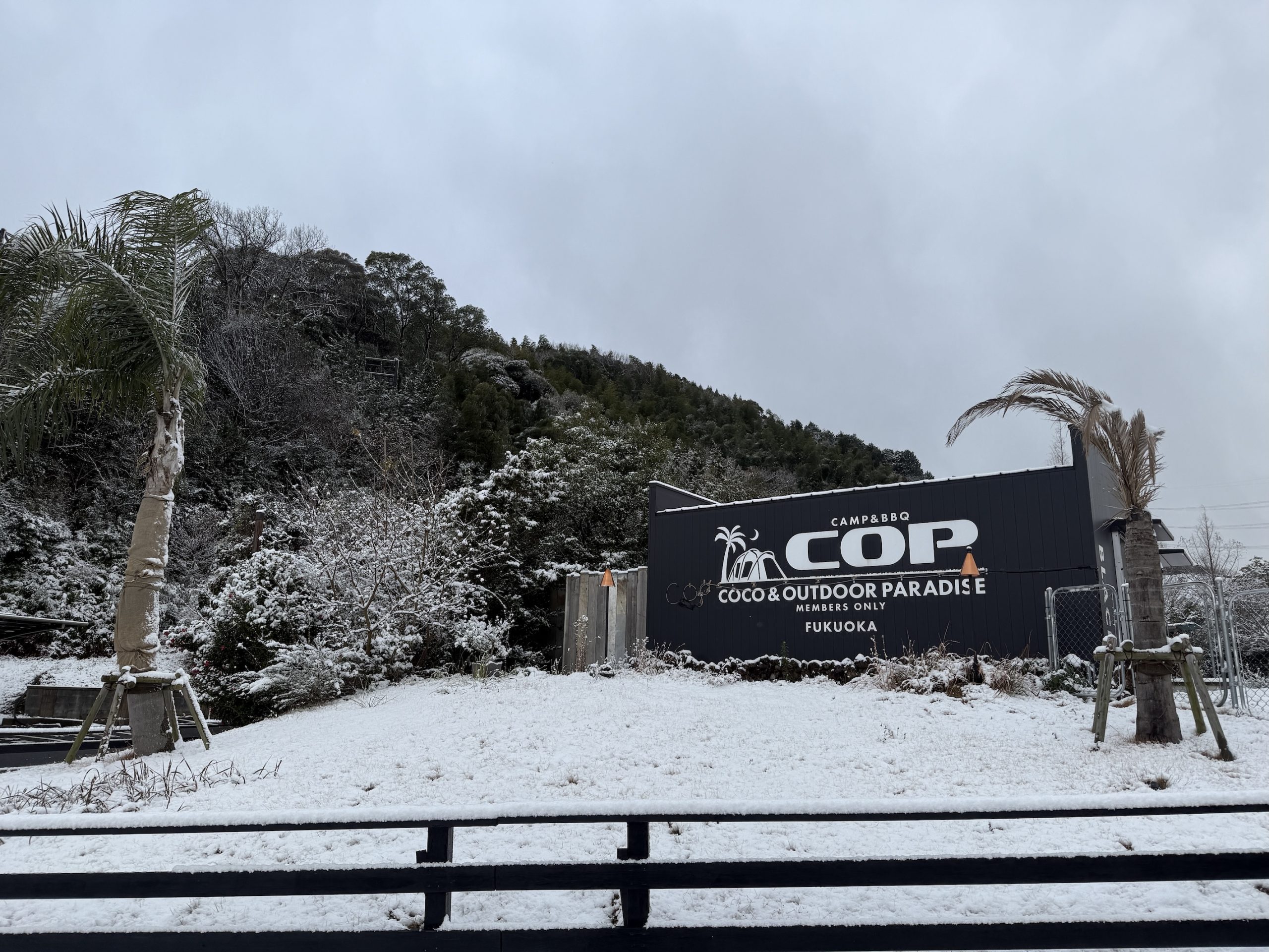 明けましておめでとうございます