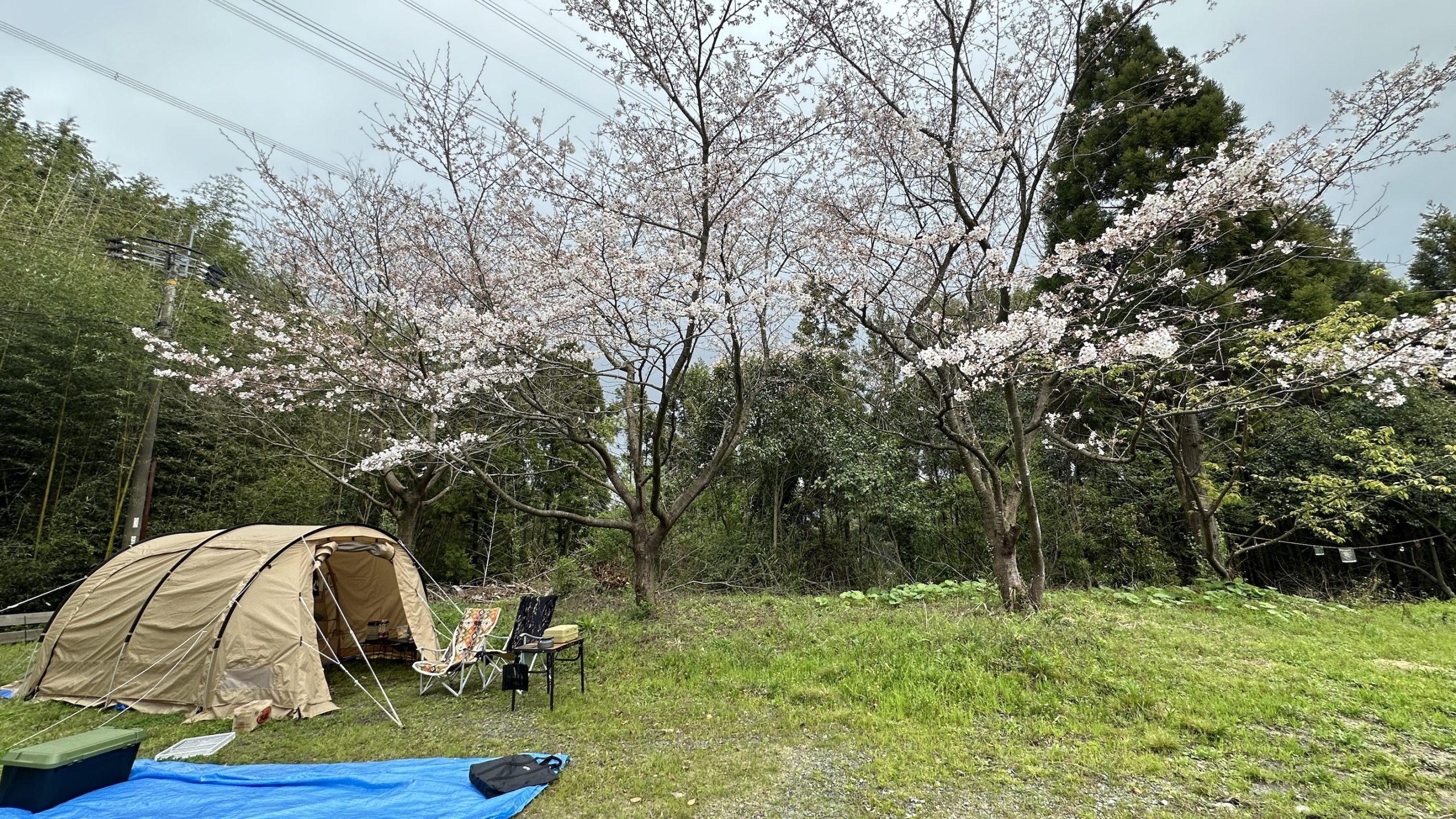 COP会員の皆様へ