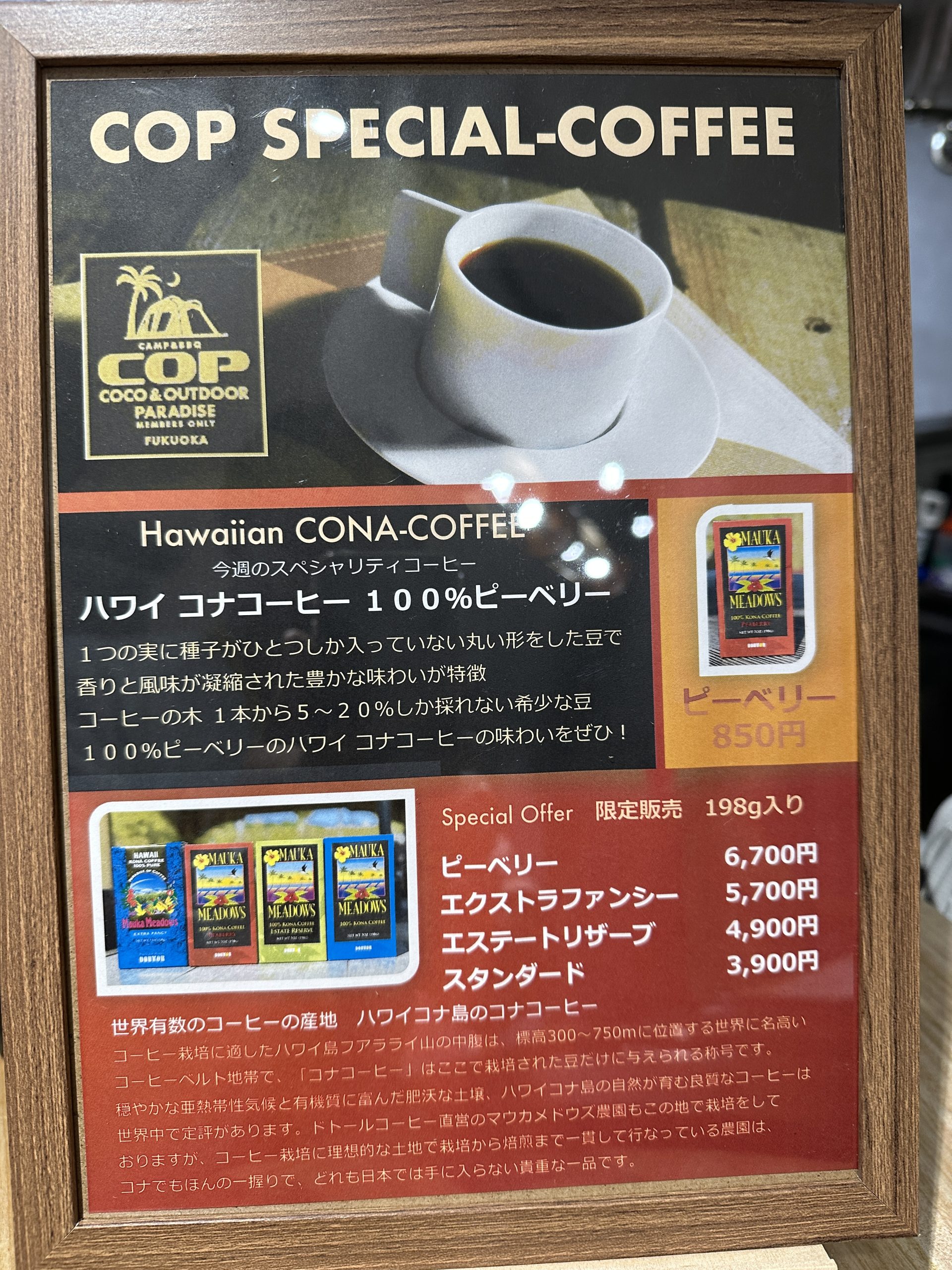 今週のスペシャリティコーヒー【ピーベリー／100％コナコーヒー】