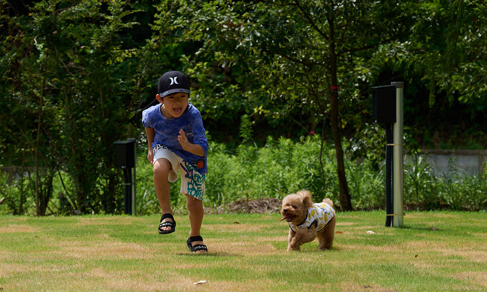 DOG RUNイメージ