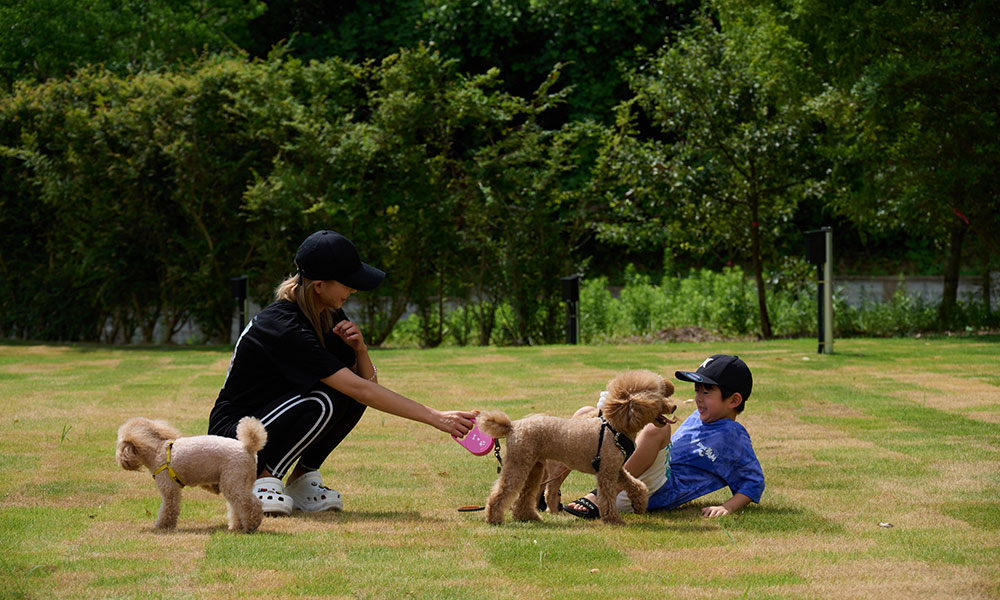 DOG RUNイメージ
